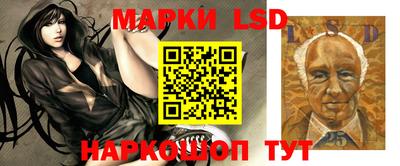 ECSTASY Шахты