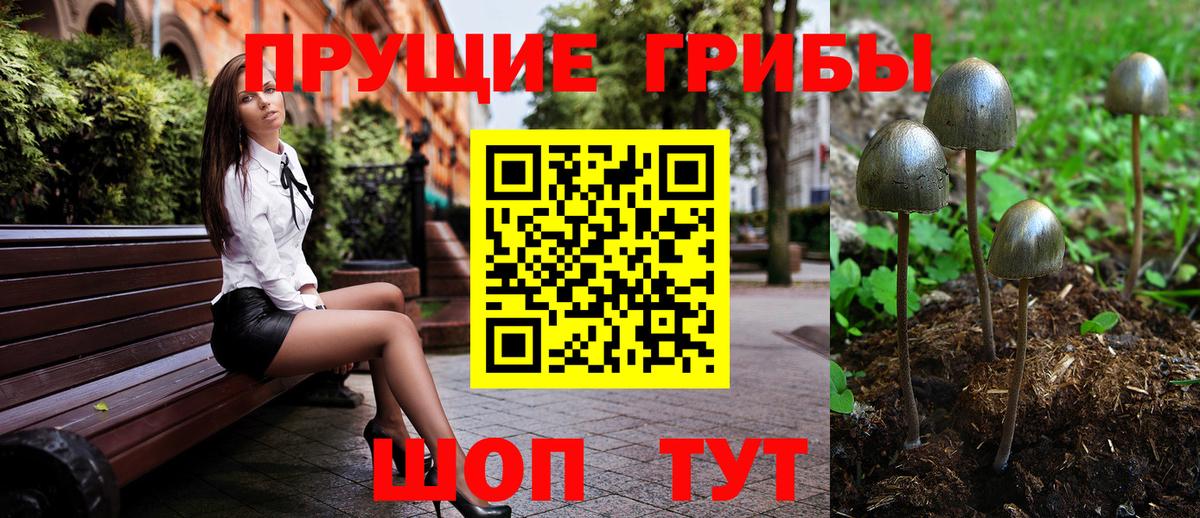 Галлюциногенные грибы Psilocybine cubensis  Вход с VPN  Лабытнанги 